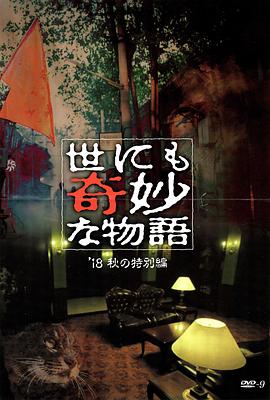 清远市seo推广哪里好